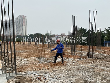 白云區(qū)新建房屋工程預(yù)防白蟻